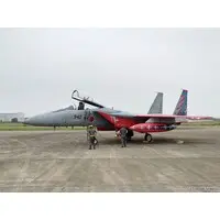 1/72 Scale Model Kit - Japan Self-Defense Forces / McDonnell Douglas F-15 Eagle