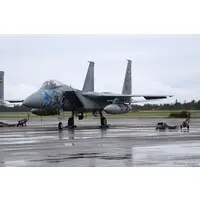 1/72 Scale Model Kit - Japan Self-Defense Forces / McDonnell Douglas F-15 Eagle