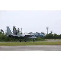 1/72 Scale Model Kit - Japan Self-Defense Forces / McDonnell Douglas F-15 Eagle