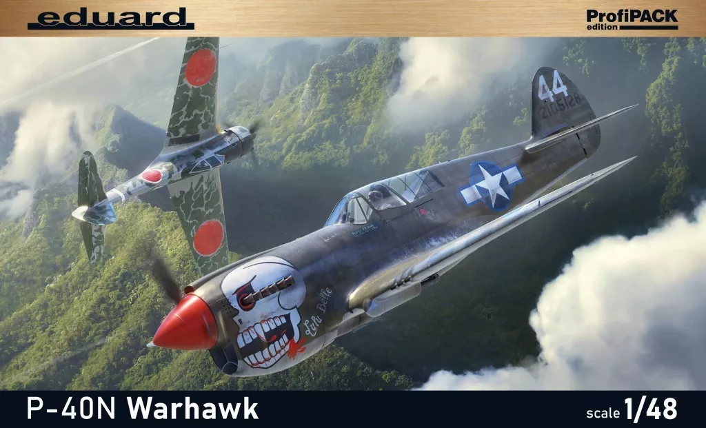 1/48 Scale Model Kit - Fighter aircraft model kits / Curtiss P-40 Warhawk
