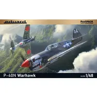 1/48 Scale Model Kit - Fighter aircraft model kits / Curtiss P-40 Warhawk