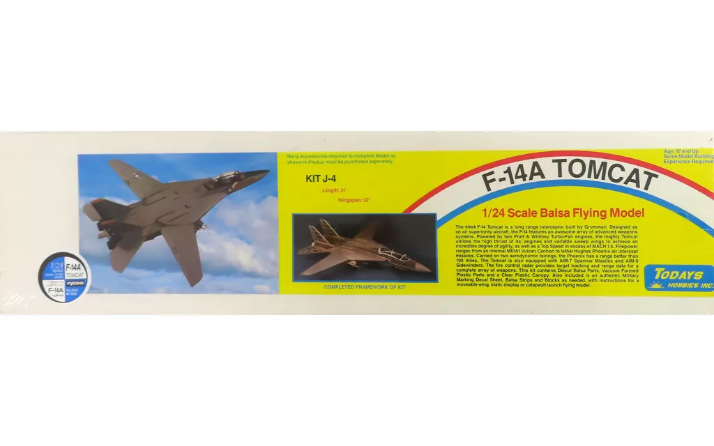 1/24 Scale Model Kit - Fighter aircraft model kits / F-14