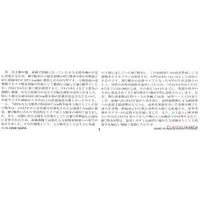 1/35 SCALE GERMAN Panzerkampfwagen III Ausf.N (Sd.Kfz.141/2) Model Kit