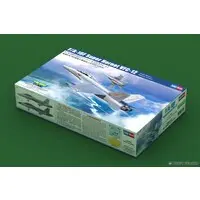 1/48 Scale Model Kit - Fighter aircraft model kits / Super Hornet