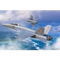 1/48 Scale Model Kit - Fighter aircraft model kits / Super Hornet