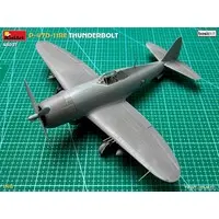 1/48 Scale Model Kit - Fighter aircraft model kits / P-47 Thunderbolt