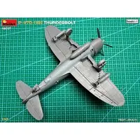 1/48 Scale Model Kit - Fighter aircraft model kits / P-47 Thunderbolt