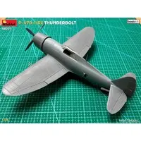 1/48 Scale Model Kit - Fighter aircraft model kits / P-47 Thunderbolt
