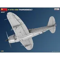 1/48 Scale Model Kit - Fighter aircraft model kits / P-47 Thunderbolt