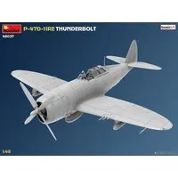 1/48 Scale Model Kit - Fighter aircraft model kits / P-47 Thunderbolt