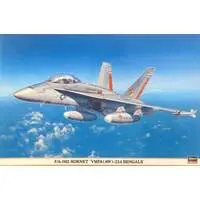 1/48 Scale Model Kit - Fighter aircraft model kits / F/A-18 Hornet