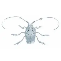 Plastic Model Kit - Metal kit series