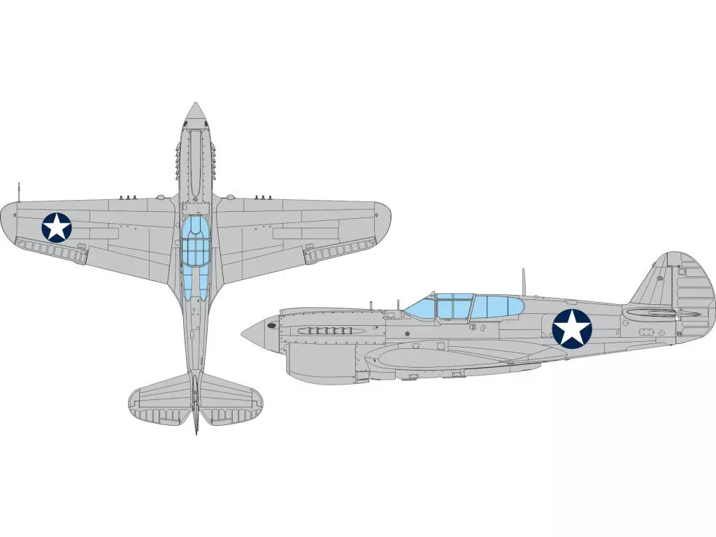1/48 Scale Model Kit - Fighter aircraft model kits / Curtiss P-40 Warhawk