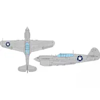 1/48 Scale Model Kit - Fighter aircraft model kits / Curtiss P-40 Warhawk