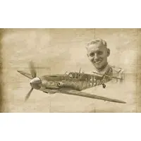 1/72 Scale Model Kit - Fighter aircraft model kits / Messerschmitt Bf 109