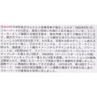 1/24 Scale Model Kit - Datsun