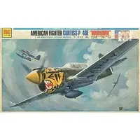 1/48 Scale Model Kit - IDENTICAL SCALE SERIES / Curtiss P-40 Warhawk