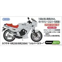 1/12 Scale Model Kit - Kawasaki