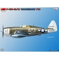 1/48 Scale Model Kit - Fighter aircraft model kits / P-47 Thunderbolt