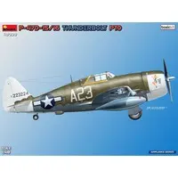 1/48 Scale Model Kit - Fighter aircraft model kits / P-47 Thunderbolt