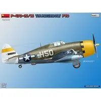 1/48 Scale Model Kit - Fighter aircraft model kits / P-47 Thunderbolt