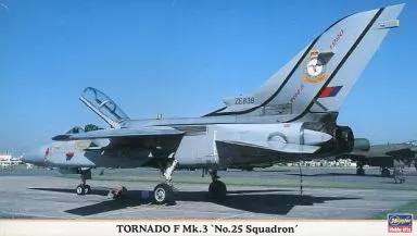 1/72 Scale Model Kit - Fighter aircraft model kits / Panavia Tornado