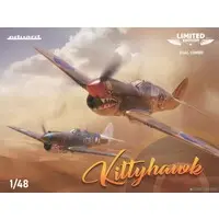 1/48 Scale Model Kit - Fighter aircraft model kits / Curtiss P-40 Warhawk