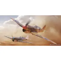 1/48 Scale Model Kit - Fighter aircraft model kits / Curtiss P-40 Warhawk