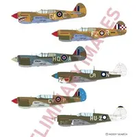 1/48 Scale Model Kit - Fighter aircraft model kits / Curtiss P-40 Warhawk