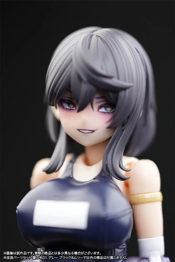 1/12 Scale Model Kit - FRAME ARMS GIRL