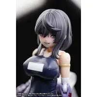 1/12 Scale Model Kit - FRAME ARMS GIRL