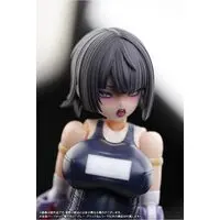 1/12 Scale Model Kit - FRAME ARMS GIRL