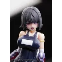 1/12 Scale Model Kit - FRAME ARMS GIRL