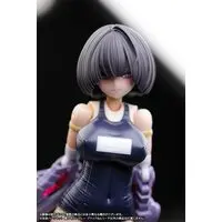 1/12 Scale Model Kit - FRAME ARMS GIRL