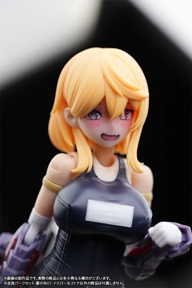 1/12 Scale Model Kit - FRAME ARMS GIRL