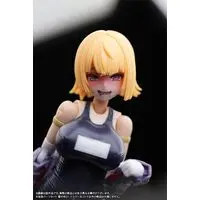 1/12 Scale Model Kit - FRAME ARMS GIRL