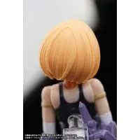 1/12 Scale Model Kit - FRAME ARMS GIRL