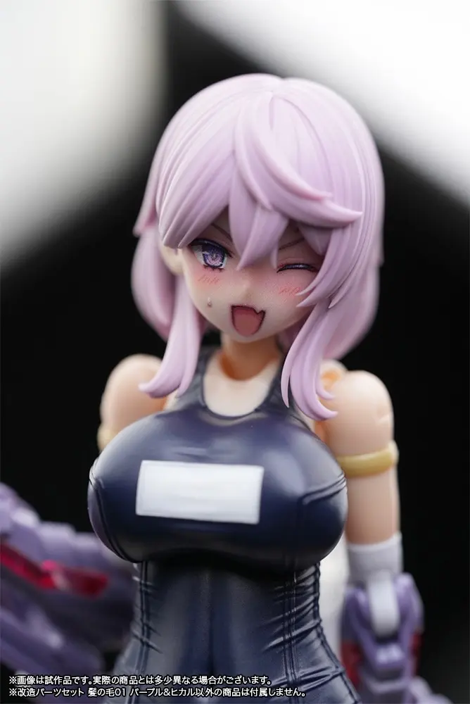 1/12 Scale Model Kit - FRAME ARMS GIRL