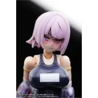 1/12 Scale Model Kit - FRAME ARMS GIRL