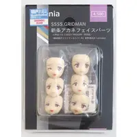 Plastic Model Parts - Gridman Universe / Shinjo Akane