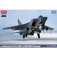 1/48 Scale Model Kit - Fighter aircraft model kits / MiG-31