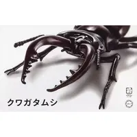 Plastic Model Kit - Jiyuu Kenkyuu Series / Stag beetle