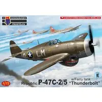 1/72 Scale Model Kit - Fighter aircraft model kits / P-47 Thunderbolt