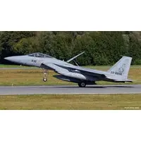 1/72 Scale Model Kit - Japan Self-Defense Forces / McDonnell Douglas F-15 Eagle
