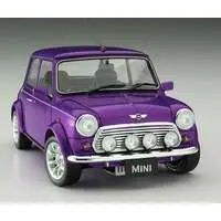 1/24 Scale Model Kit - Vehicle