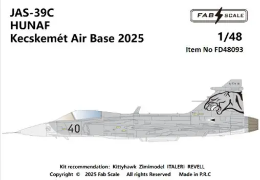 1/48 Scale Model Kit - Fighter aircraft model kits / Saab JAS 39 Gripen