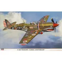 1/32 Scale Model Kit - Fighter aircraft model kits / Curtiss P-40 Warhawk