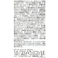 1/24 Scale Model Kit - Vehicle