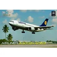 1/144 Scale Model Kit - Airliner