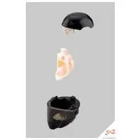 Plastic Model Kit - SOUSAI SHOJO TEIEN / Rui Saotome